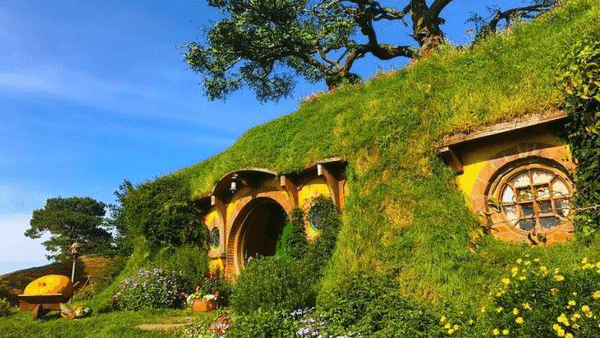 19 (1).png 19 (1).png