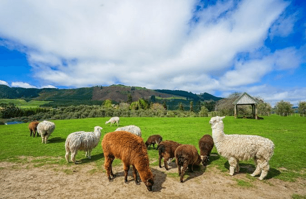 23 (1).png 23 (1).png