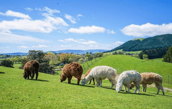 24 (1).png 24 (1).png