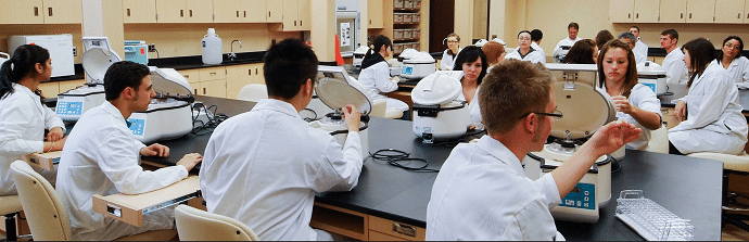 11 (1).png 11 (1).png